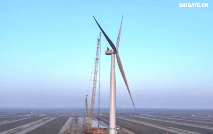 1月11日，全球最大功率等級的漂浮式風電機組——中國中車“啟航號”在山東東營風電裝備測試認證創(chuàng)新基地吊裝成功，標志著我國在海上超大型風機的探索邁出重要一步。該項目風電機組的配套塔筒是全球直徑最大、重量最重的塔筒型號，所用鋼板由河鋼集團舞鋼公司獨家提供。  微信圖片_20250220083217.jpg  舞鋼公司深入貫徹集團要求，以客戶需求為導向，大力開展技術(shù)營銷，不斷優(yōu)化營銷方案，通過提供“一攬子”解決方案，滿足高端客戶對高品質(zhì)產(chǎn)品和未來發(fā)展的需求，加速由生產(chǎn)型向“制造+服務”型企業(yè)轉(zhuǎn)變。該項目對產(chǎn)品抗沖擊性能及表面質(zhì)量有著極為嚴苛的要求，且交貨期較短，生產(chǎn)難度相當大。為確保合同順利交付，舞鋼公司產(chǎn)線各單位協(xié)同聯(lián)動，強化工藝和生產(chǎn)過程控制，攻克了高強度與高延伸率匹配、低溫沖擊韌性匹配等一系列技術(shù)難題，確保了產(chǎn)品各項指標全部滿足客戶要求，并按期交付客戶。  微信圖片_20250220083224.jpg  “啟航號”20MW漂浮式海上風電塔筒是專門為20MW及以上海上漂浮式風機提供系統(tǒng)解決方案而設計的，是全球最大功率漂浮式風電機組的配套塔筒，總高度為141.15米，最大直徑12米，重量達到了1576噸。